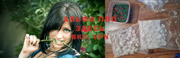 стафф Алексеевка